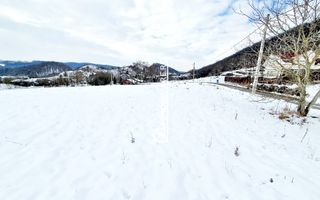 Teren intravilan 1.500 mp. Corunca Valea Iubirii 65 euro mp - Poză 3