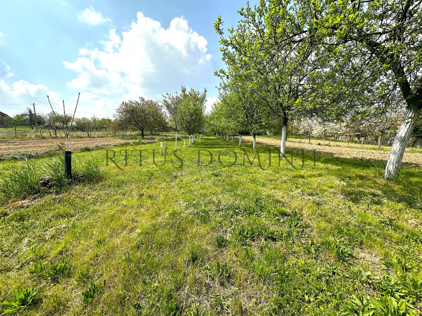 Teren Intravilan de Vânzare, Cetariu, 5450mp - Poză 2