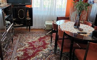 Casa individuala D+P+E in Cetate - Schit - la asfalt - Poză 6