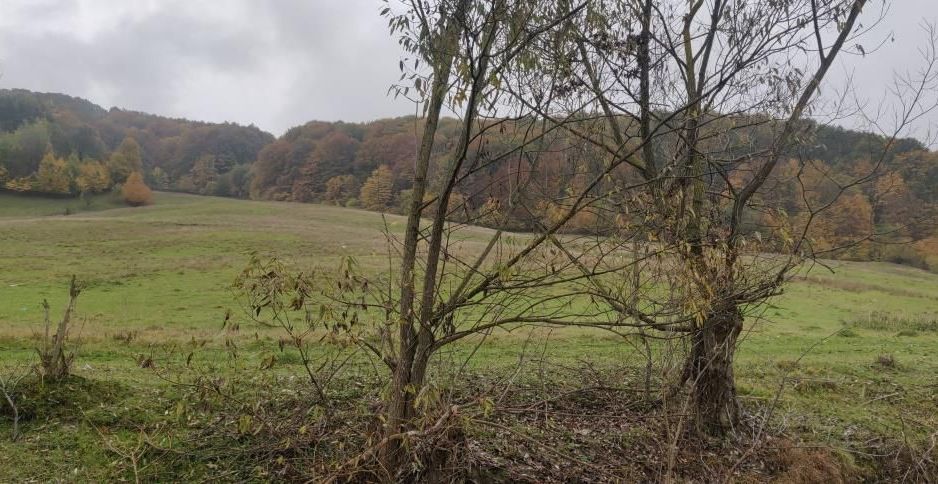 teren Luncani Margineni - Poză 2