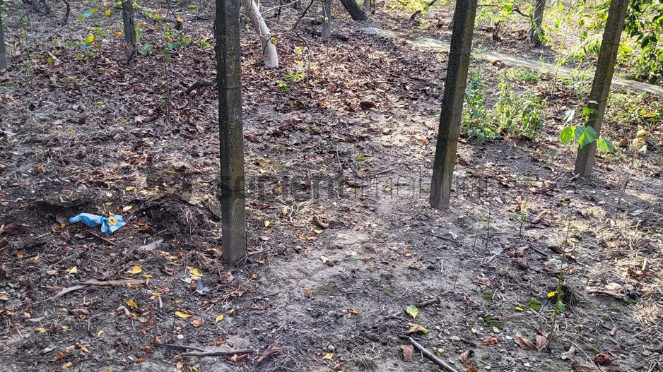 Casa de vanzare pentru 2 familii 5 camere 482mp - Poză 23