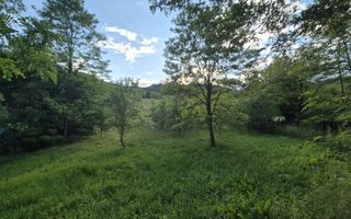 Teren intravilan 1201 mp – Curtea de Arges, Strada Haiducesti - Poză 1