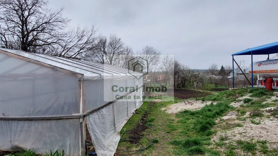 Vanzare Statie GPL Auto, Giurgiu - Poză 5