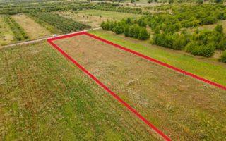 Vânzare, teren, 50 ari, str. Tineretului, Trușeni - Poză 1