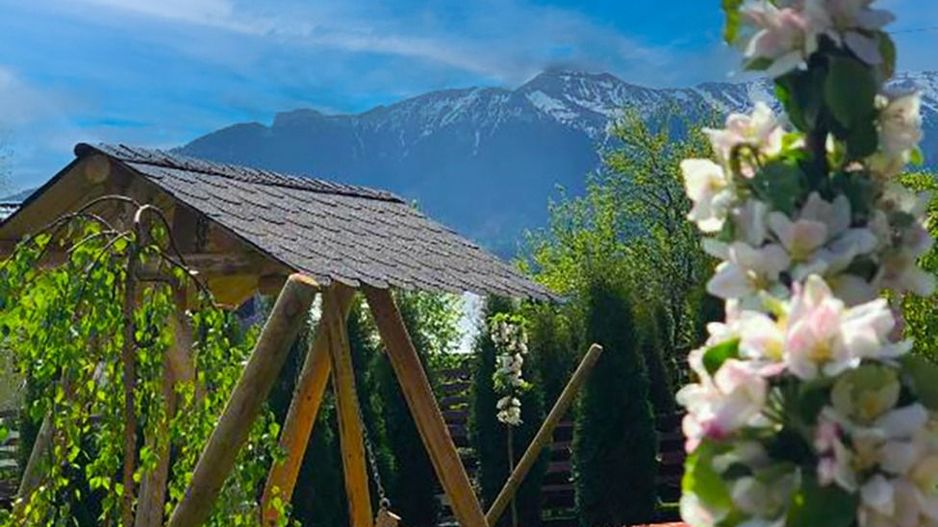 La Maison des Rêves – Pensiune de vânzare în Bran - Poză 15