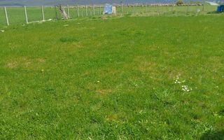 Grădină 862 mp cu cabanuta și pomi fructiferi – între Tălmaciu și Sadu - Poză 3