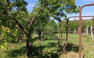 De Vânzare Casă Culciu Mare Satu Mare - Poză 5