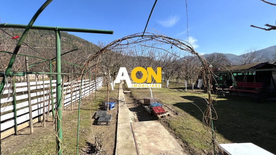 Casa de vanzare pretabila 2 familii, garaj, livada, comuna Pianu - Poză 37