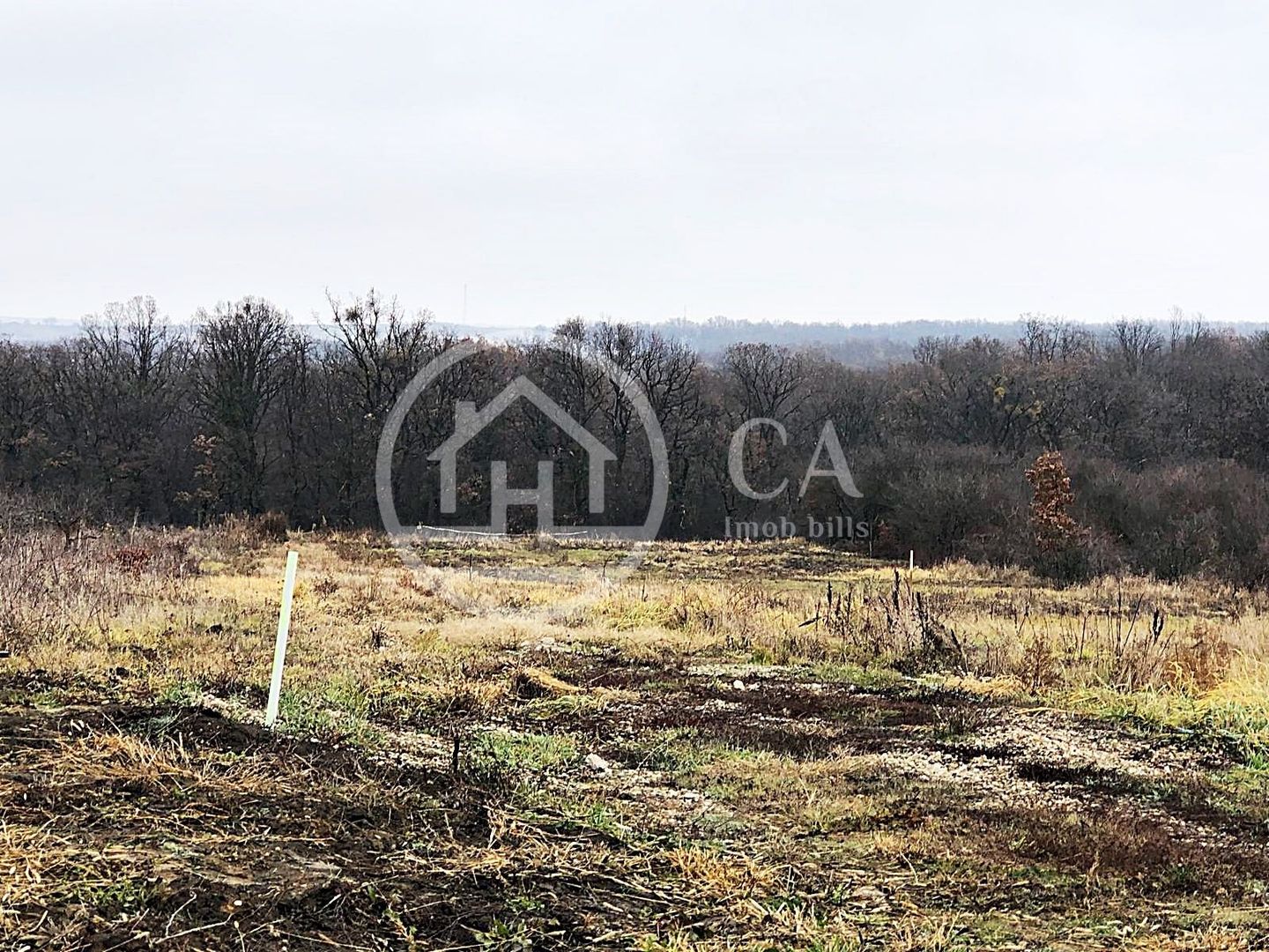 Teren intravilan de vânzare pe strada Izvorului, zona Saldabagiu - Poză 1