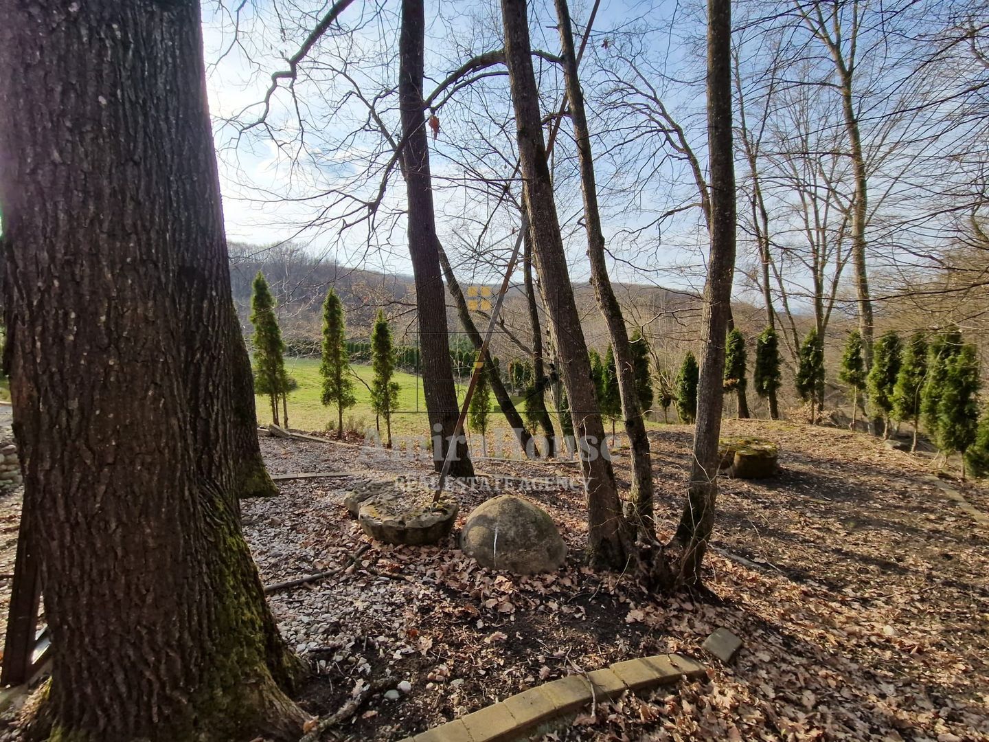 Casa din lemn D+P+M de 400 mp utili si teren 3.000 mp zona Faget - Poză 20