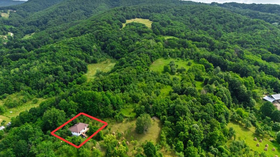 Casa moderna si casa bunicii + 6300 mp teren,Oaza autentica in Corbi Arges- - Poză 23