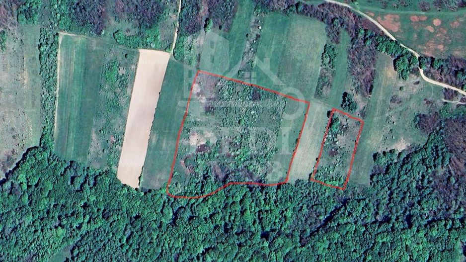 Teren 1 EURO/mp de vanzare in Tileagd-Balaia, Bihor - Poză 2