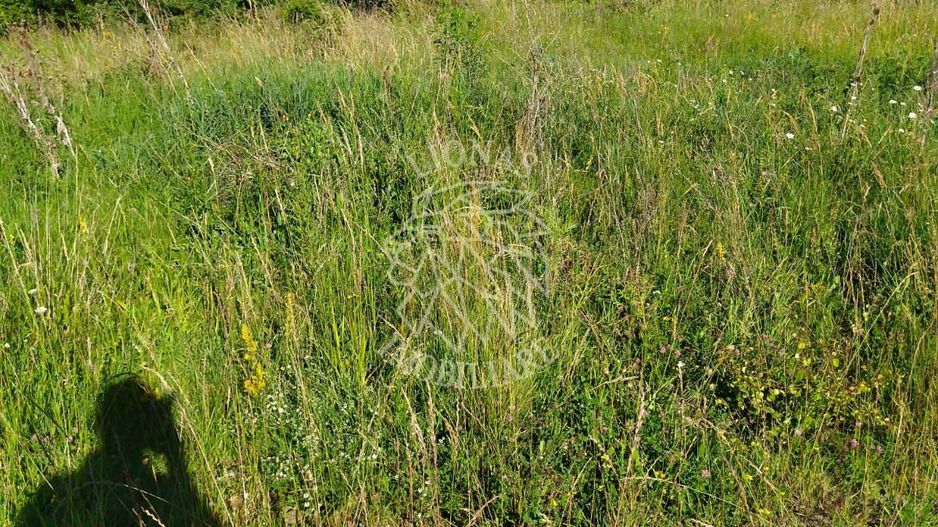 Teren 990 mp-ideal casa/casa de vacanta-panoramic-Zona Dealul Jelnei - Poză 1