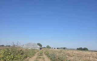 Teren 7 euro mp str asfaltata langa padure Colibasi Campurelu - Poză 7