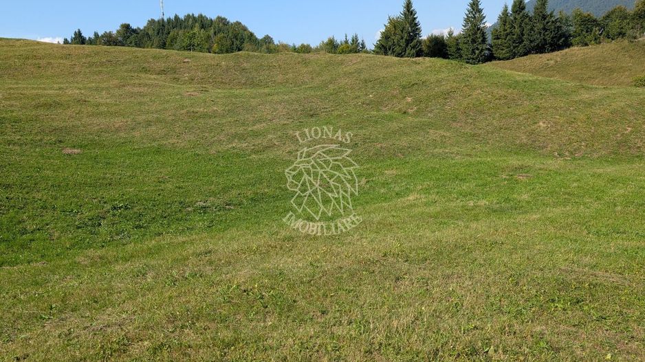 Oportunitate!Teren intravilan 61.38400mp-Parcelabil-utilitati-Colibita - Poză 6