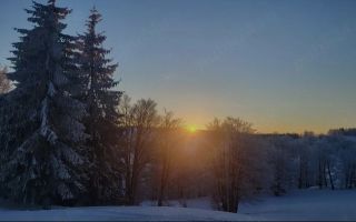 Gradină în arendă, 500 mp, zona Nicolina, Iași - Poză 1