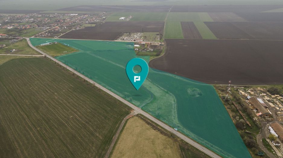 Teren 76.000mp între Sântana și Caporal Alexa - Poză 1