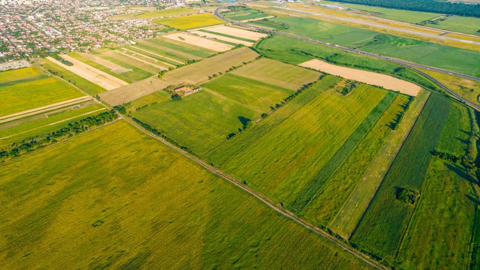 50 ha teren compact în Bujac - Poză 4