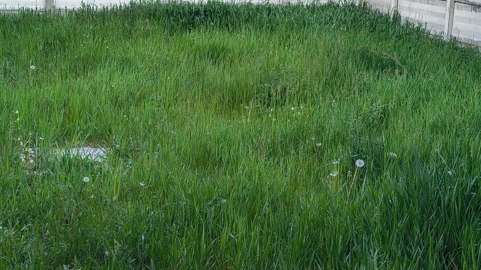 Casa in localitatea Nojorid - Poză 6