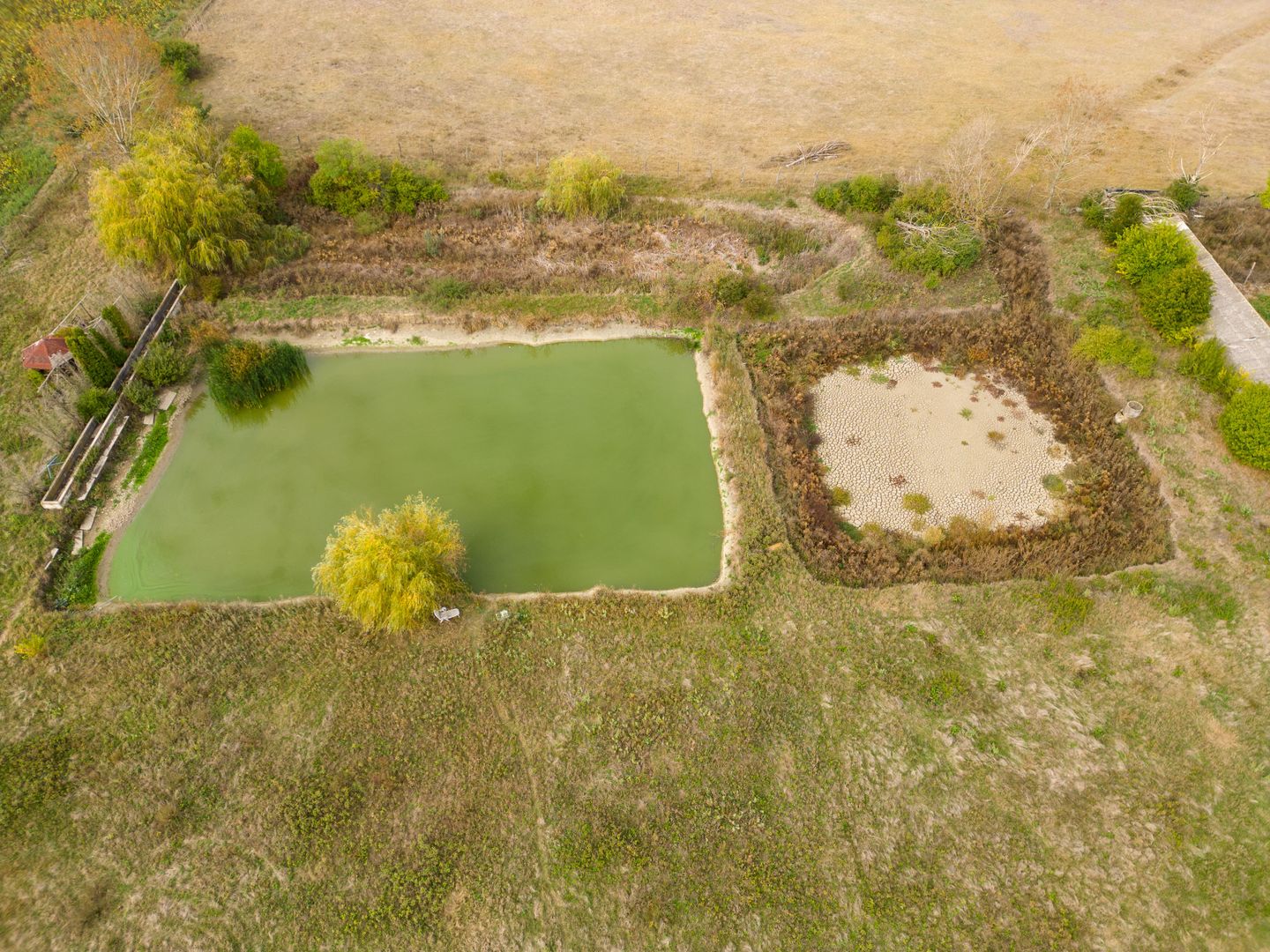 Teren 13.418 mp intravilan cu casă și 2 iazuri - Poză 8