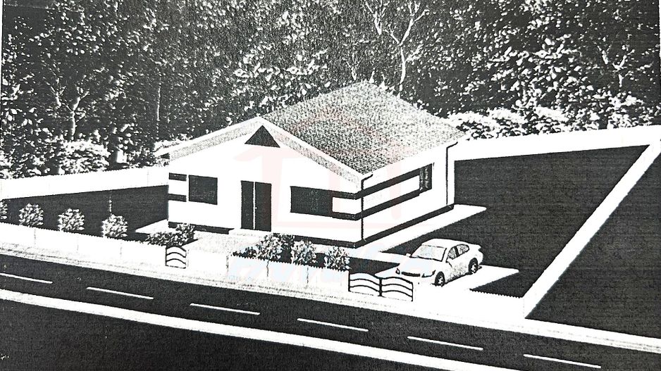 48.000 Euro casa+teren (in concesiune) 804 mp in com Branistea - Poză 2
