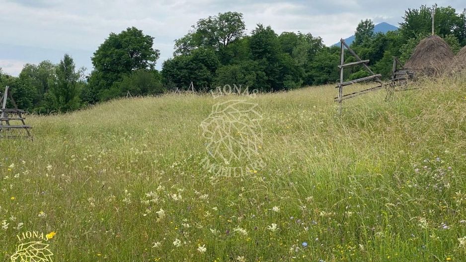 Teren Intravilan 3093 mp-ideal case/cabane/pensiune-Bistrita Bargaului - Poză 3