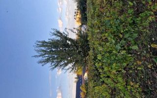 Casa de Vinzare mobilata gata de mutat - Poză 6