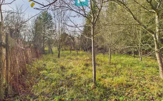 Casă P+E+M cu teren 8163 mp – Roşia Nouă (Petriş) - Poză 12