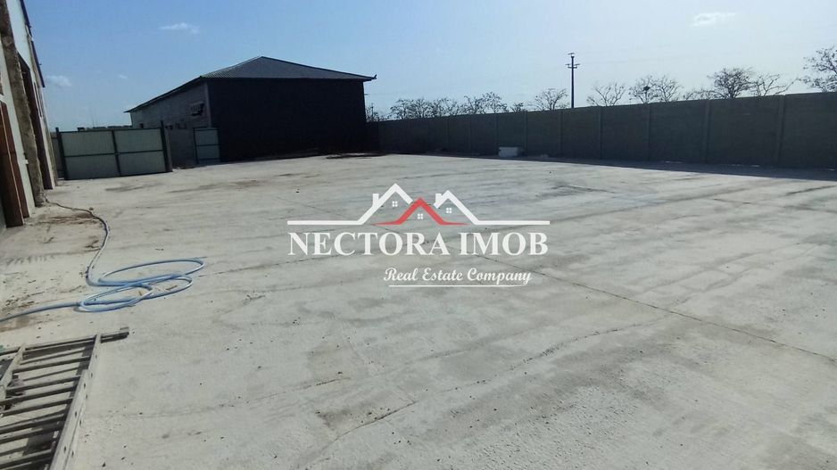 NECTORA IMOB-4 hale industriale noi, Zona Livada de Bihor, Curte mare - Poză 2