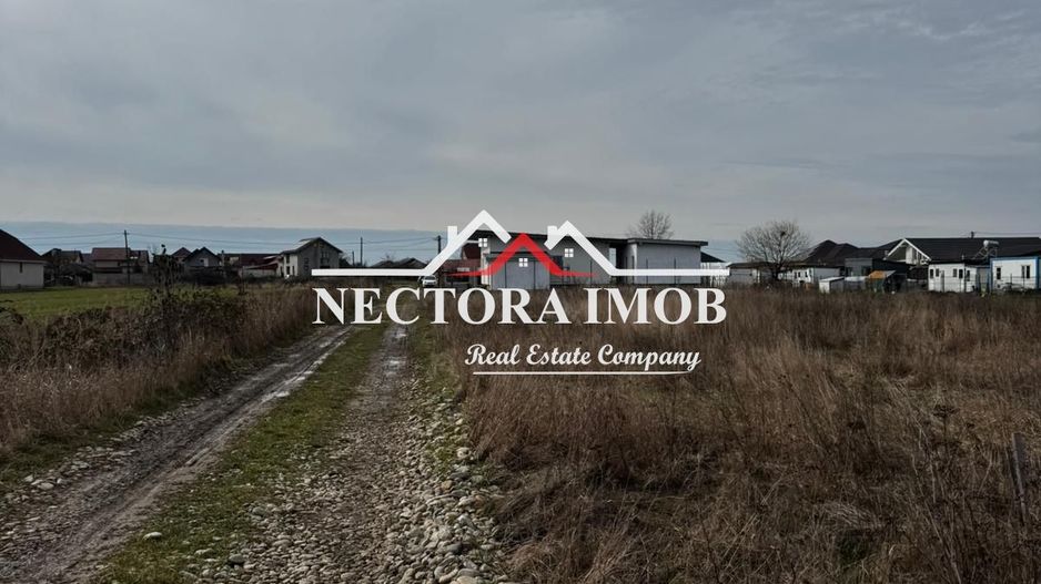 NECTORA IMOB-Teren Intravilan Zona Cihei,512 mp, Utilitati,Str.Privata - Poză 2