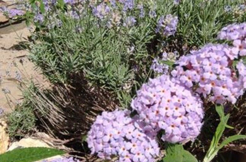 Casa cu doua camere, mobilata si utilata, zona centrala - Poză 3