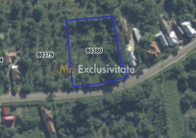 Teren intravilan, Comuna Corbi, Jud. Argeș, toarte utilitatile - Poză 4