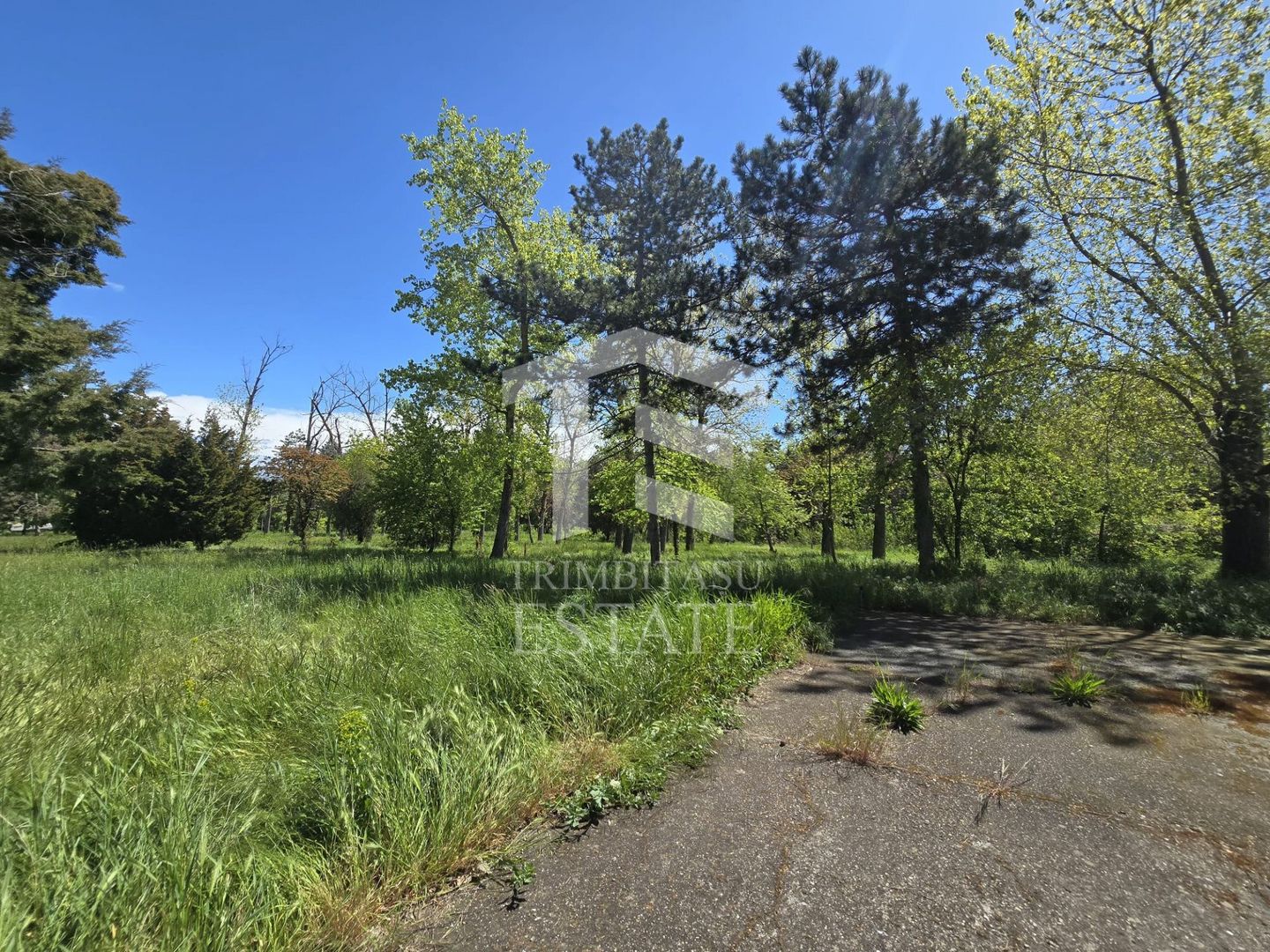 🏖 Teren de vanzare in Neptun – O oportunitate rara de investitie. - Poză 12