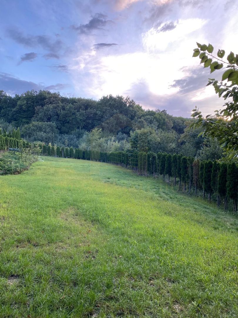 Vanzare teren 3000 mp, cabana, zona D D Rosca, Faget - Poză 3