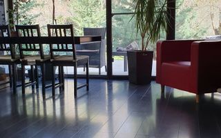 Vanzare vila 5 camere | Langa padure | Bucuresti | Baneasa - Poză 4