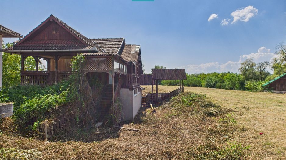 Pensiune în Geoagiu pe malul râului Mureș - Poză 9