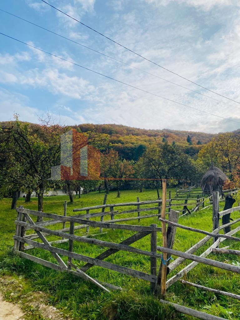 Casa + teren 1700 mp langa Padure Bran/ Predelut - Poză 15