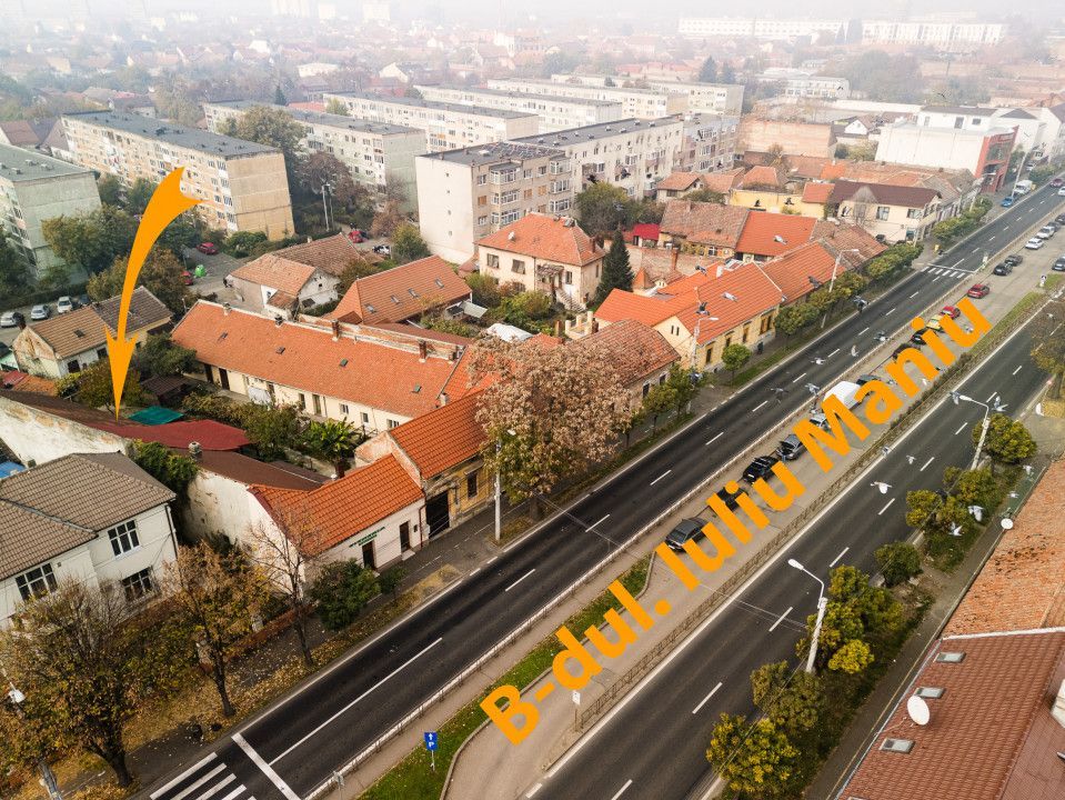 Apartament 2 camere, parter, renovat, curte proprie 50 mp- Piata Iuliu Maniu - Poză 39