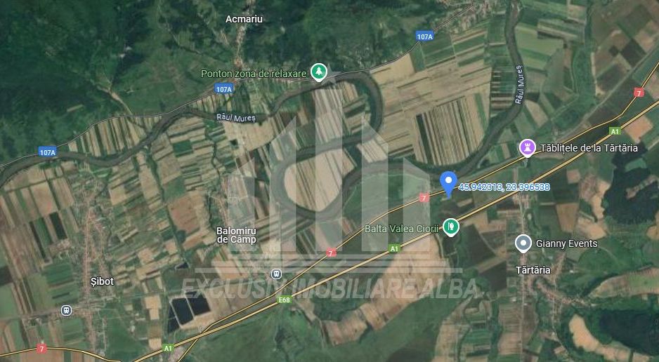 Teren agricol de vanzare, Salistea - Poză 1