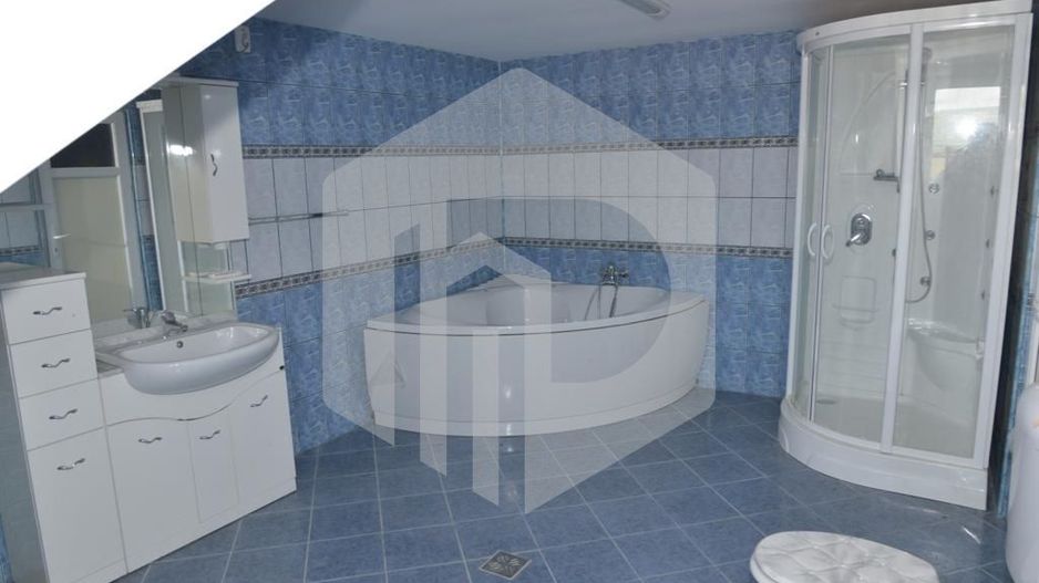 Fabrica de lactate la cheie Sibiu - Poză 18