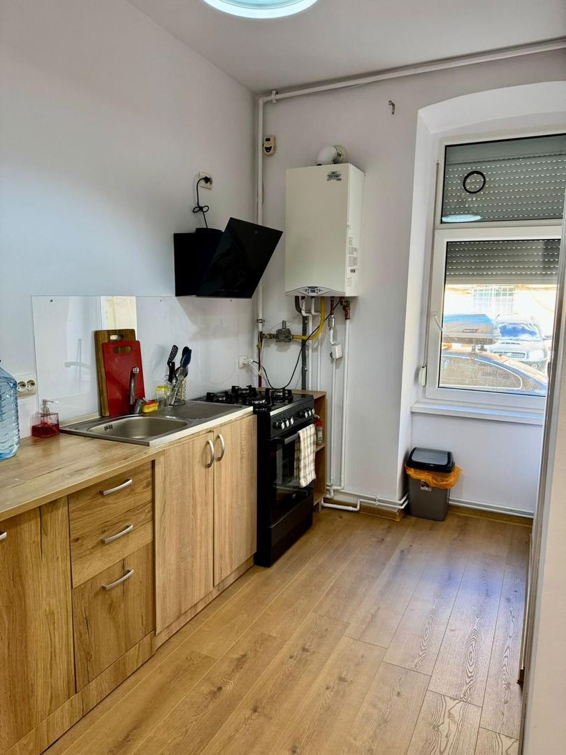 COMISION 0% | Apartament cu 2 cammere | Malul Begăi | Iosefin - Poză 11