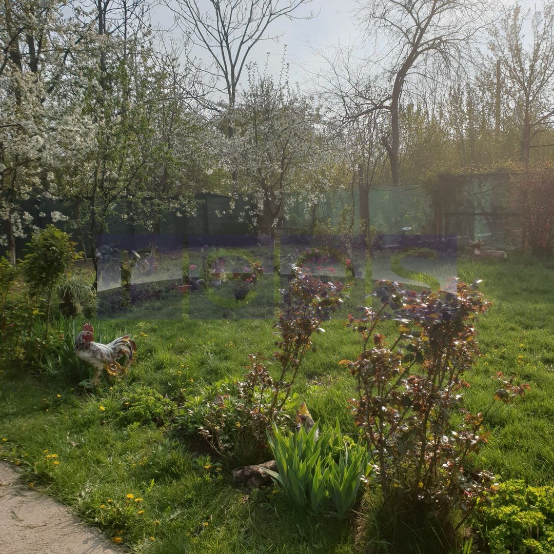 VANZARE VILA | P+1+M | ZONA NICOLAE GRIGORESCU - Poză 7
