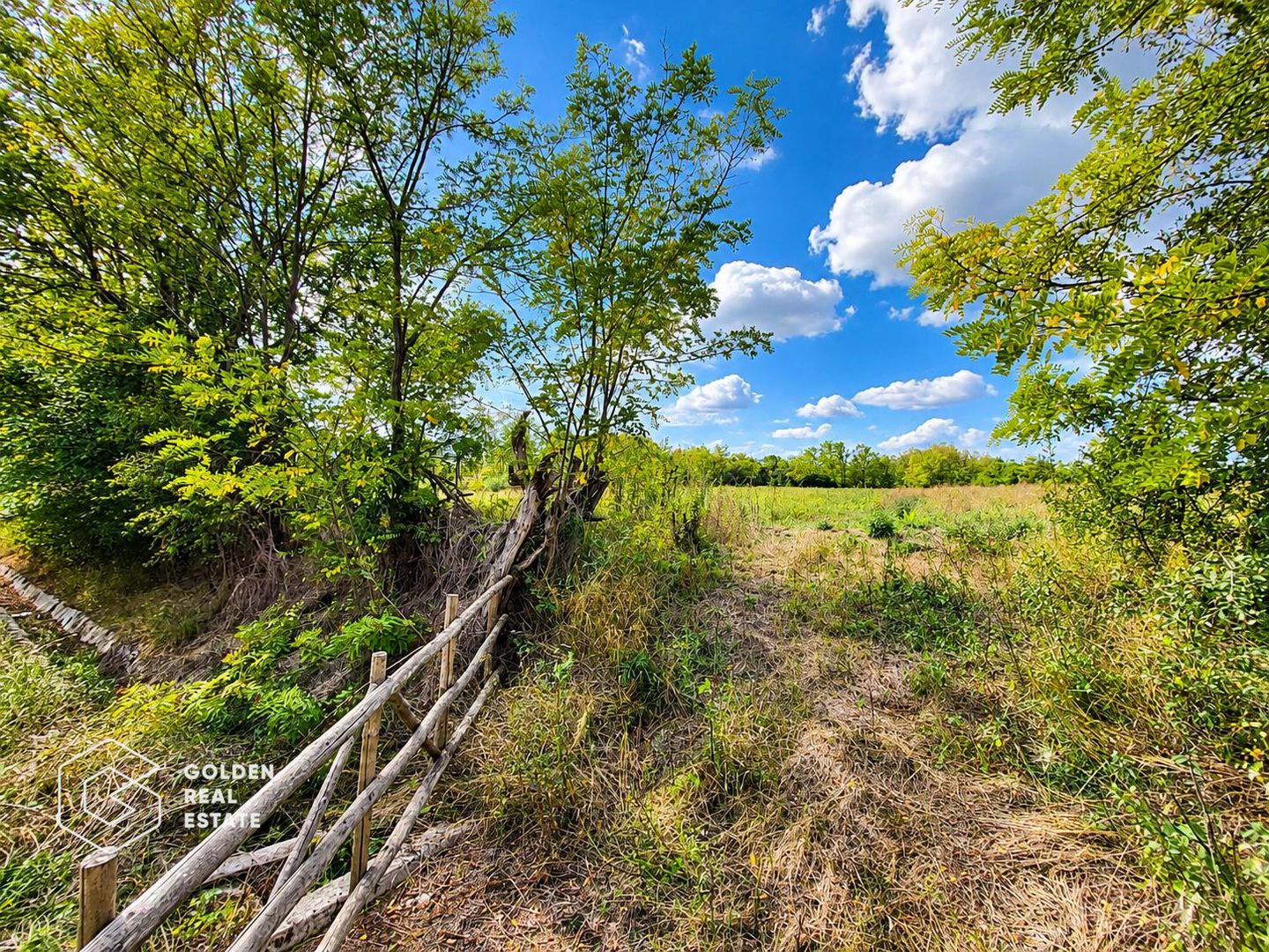 Teren intravilan, 1260 mp, localitate Ususau - Poză 2