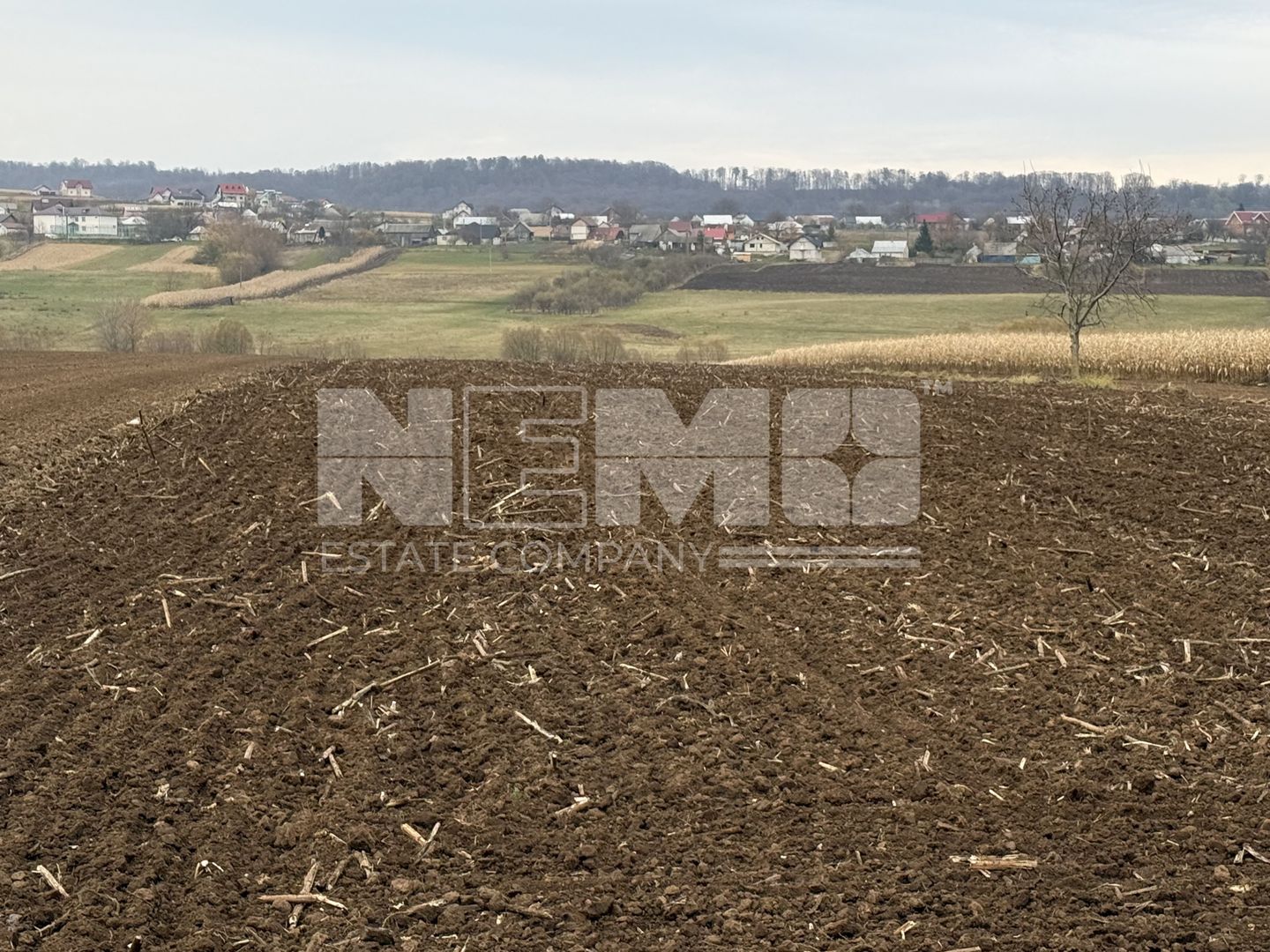 Teren 10.000 mp | Grănicesti | Lângă E85 | Front 25 m - Poză 3