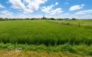 Teren intravilan, 5300 mp, Localitatea Vladimirescu, comision 0% - Poză 1
