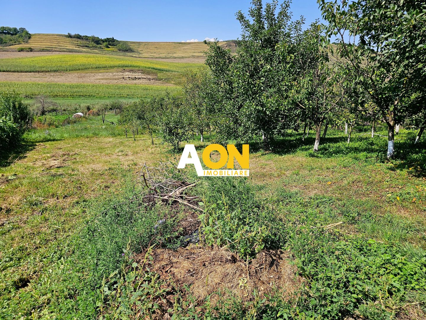 Casă batranească, 3 camere, 2200 mp teren, sat Bucerdea Grânoasă - Poză 14