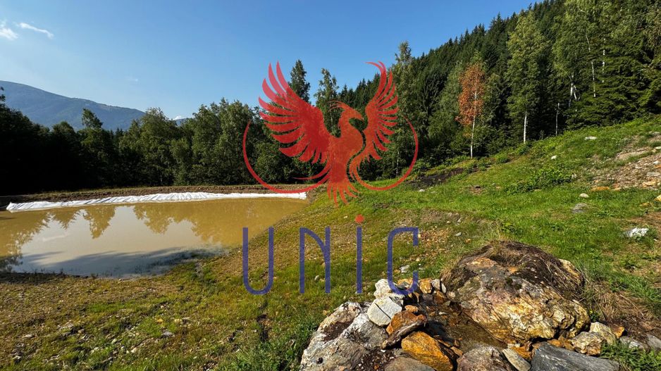 18000 mp de natura pura ,Lupeni, langa Straja - Poză 6