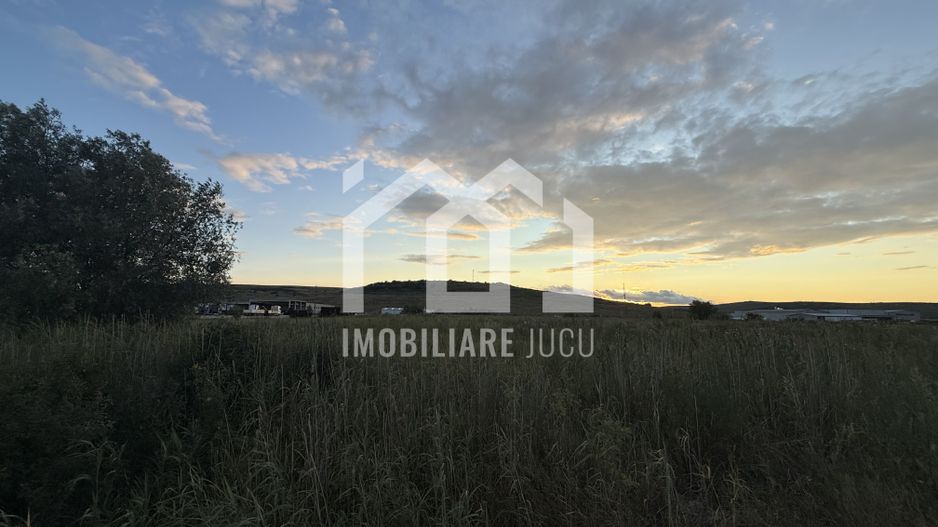Teren – 7.194 mp | Răscruci – Zona Tetarom - Poză 1