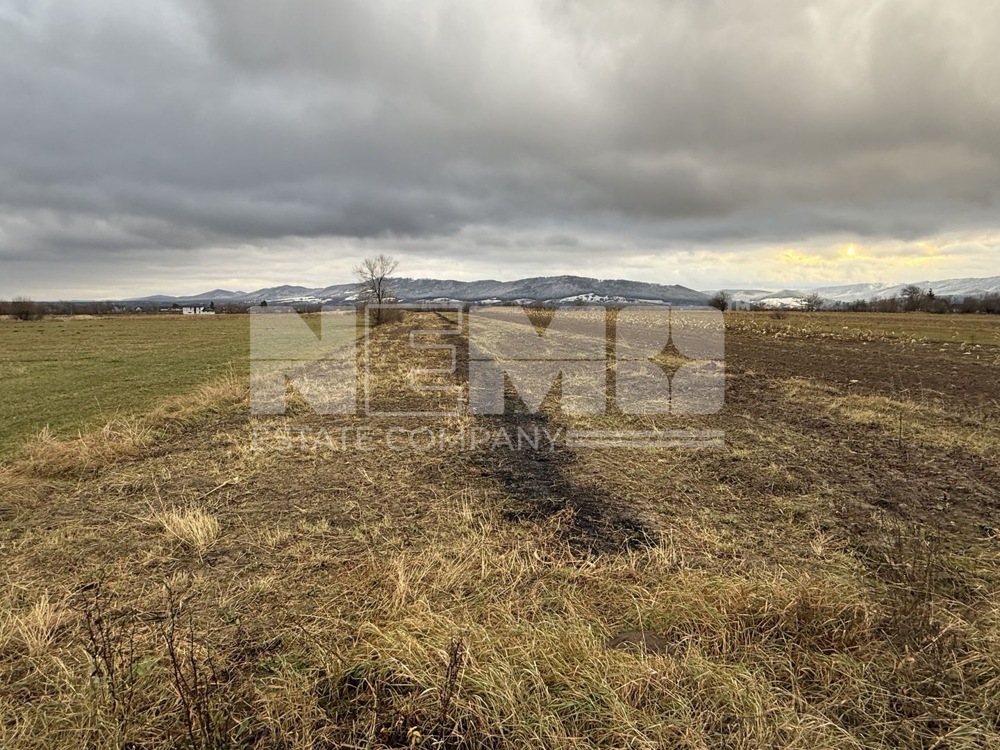 Teren 80 Ari | Vicovu de Sus – Bahna | Front 16.5 - Poză 1