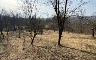 Teren intravilan 2788 mp deschidere 55 ml cu vedere panoramica ! - Poză 6